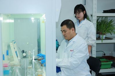 中新科农与云南大学携手科技攻关，成功破解根结线虫防治难题，推动生物农药技术新突破