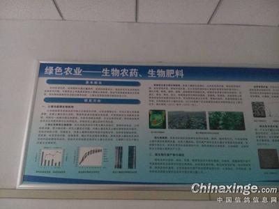 河北省科学院生物研究所 深耕生物农药技术研发，守护绿色农业未来