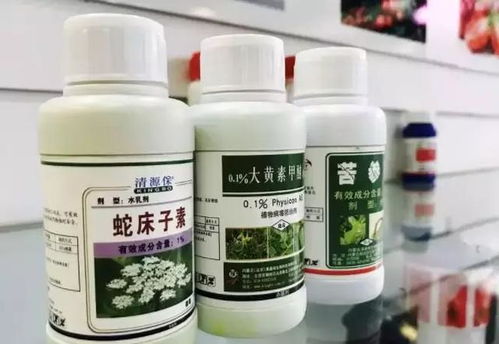 这样才安全 阳台蔬菜种植中的生物农药技术与研发应用