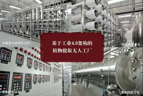 药食同源与科技融合 植物萃取技术与清薏汤的温暖守护