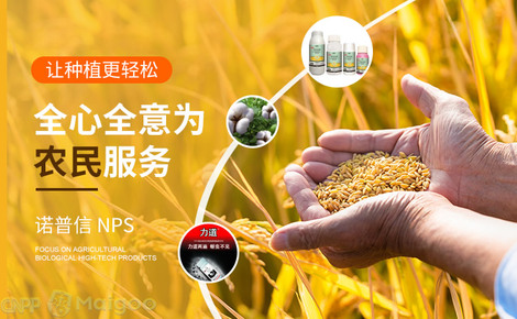 诺普信（NPS）品牌介绍 聚焦绿色农业的多元先锋