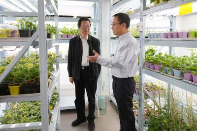 深耕生物农药技术研发 山西大学生命科学学院的绿色探索